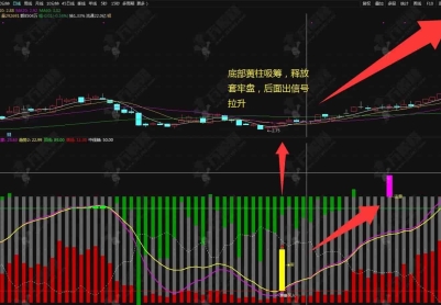 通达信【大单异动趋势】副选指标 趋势动量筹码和资金多个维度看清庄家趋势 手机电脑通用