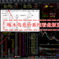 《啄木鸟竞价系统》软件版、指标+版面+股池