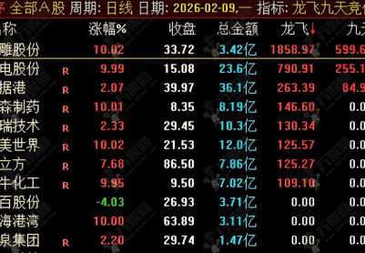 通达信【龙飞九天】竞价排序指标 9点25分排序，排序参考第一支！