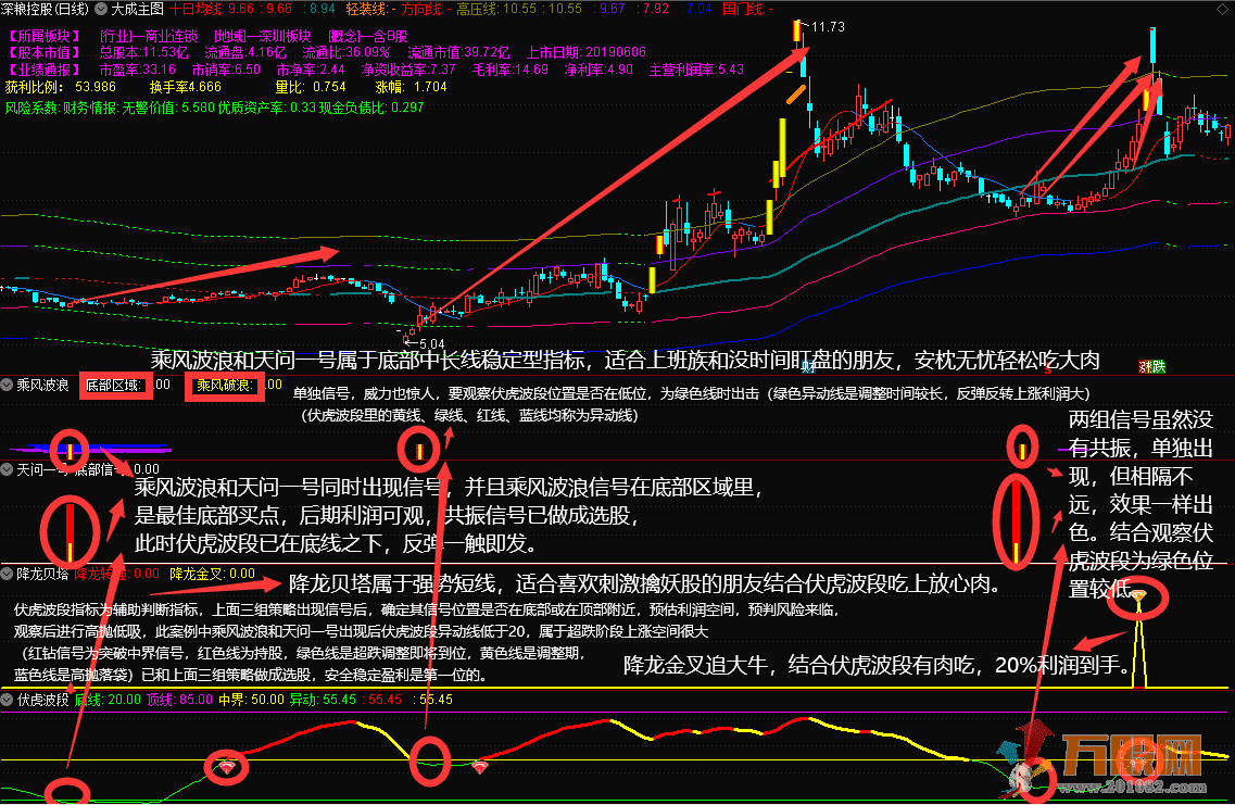 胜庄王牌组合 股市赢家一套有效的致富吃肉策略 共振选股胜率高达98%