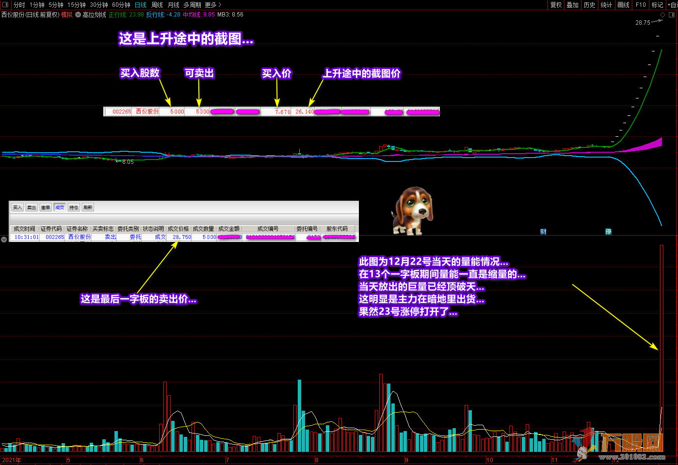 《潜龙伏虎》+《凤表龙姿》通达信主副图及选股指标源码