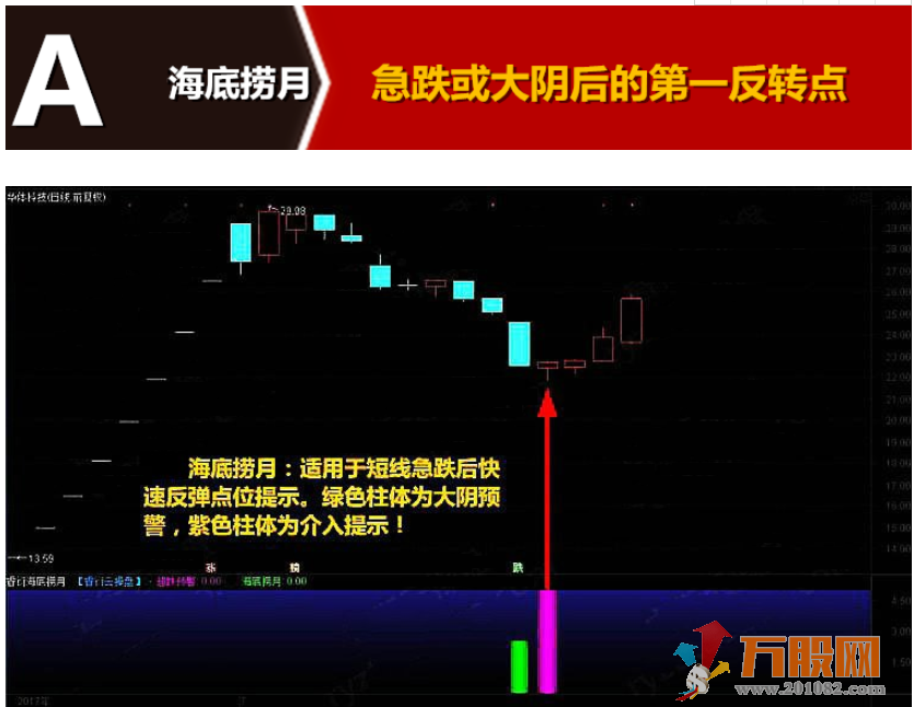 至尊反转王指标 大阴预警板后接力狂龙回首反转出击反转爆点 选股预警