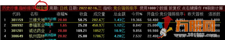 【竞价强弱排序】可用于全A股排序，一进二等连板模式，短期内的翻倍利器  ...