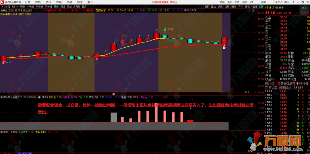 犀牛成龙套装TN6无加密开源指标 三步成龙抓牛利器