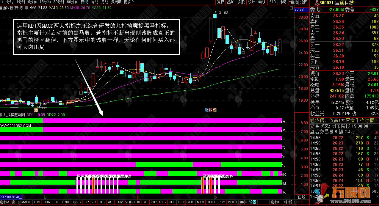 九指擒魔捉黑马副选指标公式 不含未来函数