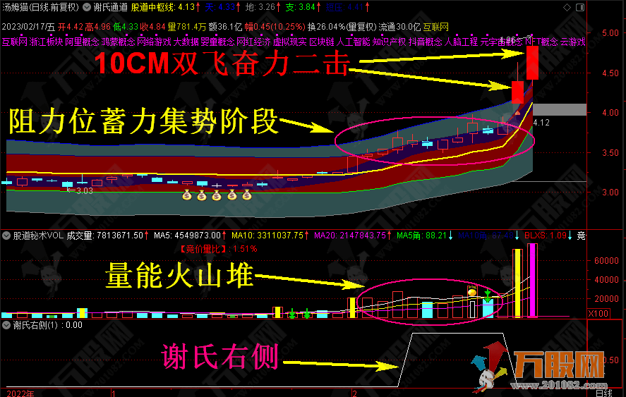 谢氏右侧战法全套，短线题材操作神器 手机电脑通用版