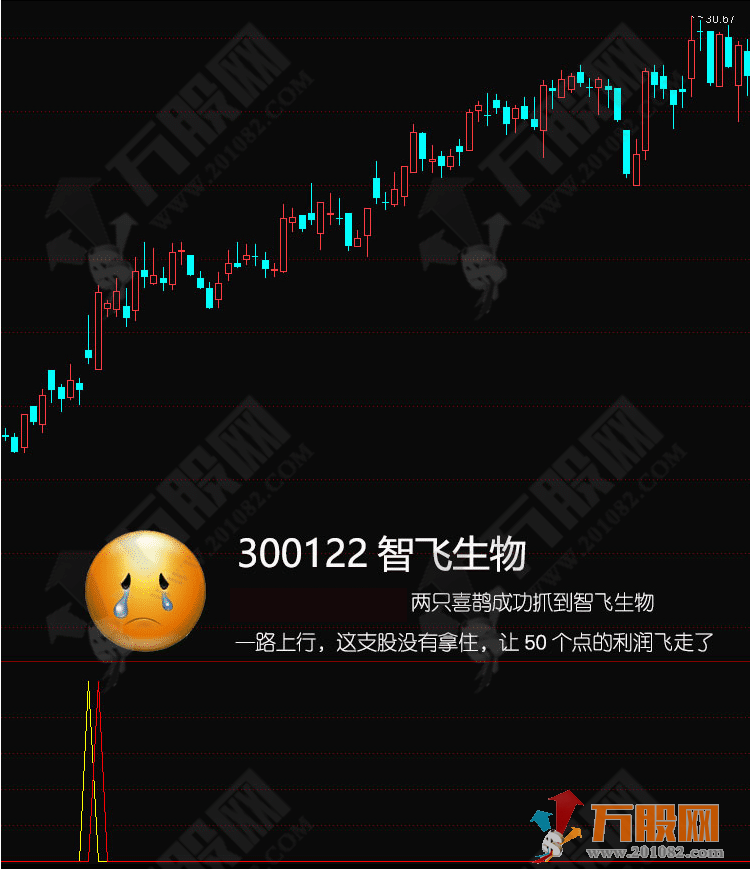 通达信《两只喜鹊》擒牛抓主升浪副图选指标 支持手机版+电脑版