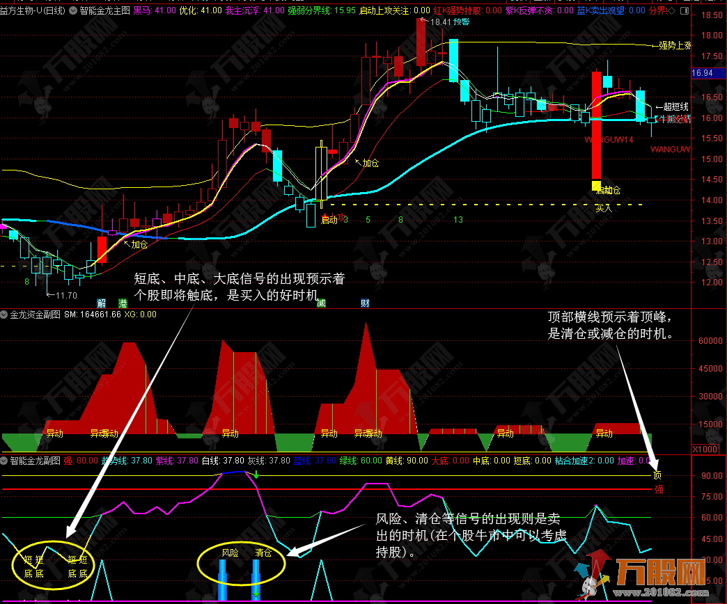【智能金龙系统套装】多信号共振策略 主/副/选指标支持手机版