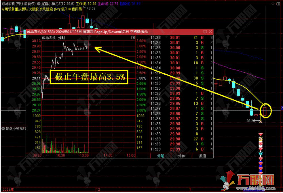 通达信《尾盘小神龙》套装指标，稳健尾盘T+1次日套利战法！