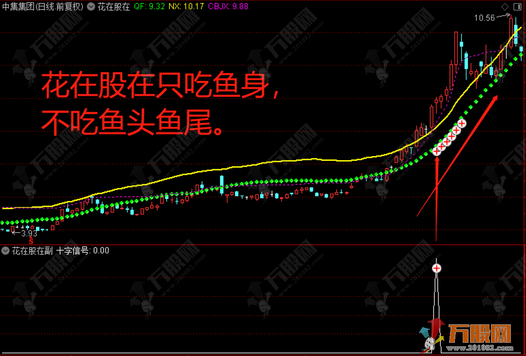 【花在股在】主/副/选指标公式 选择强势股的有效指标 无未来函数，不漂移