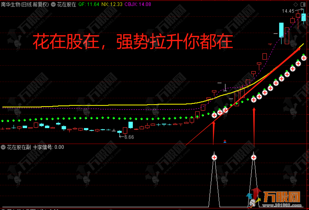 【花在股在】主/副/选指标公式 选择强势股的有效指标 无未来函数，不漂移