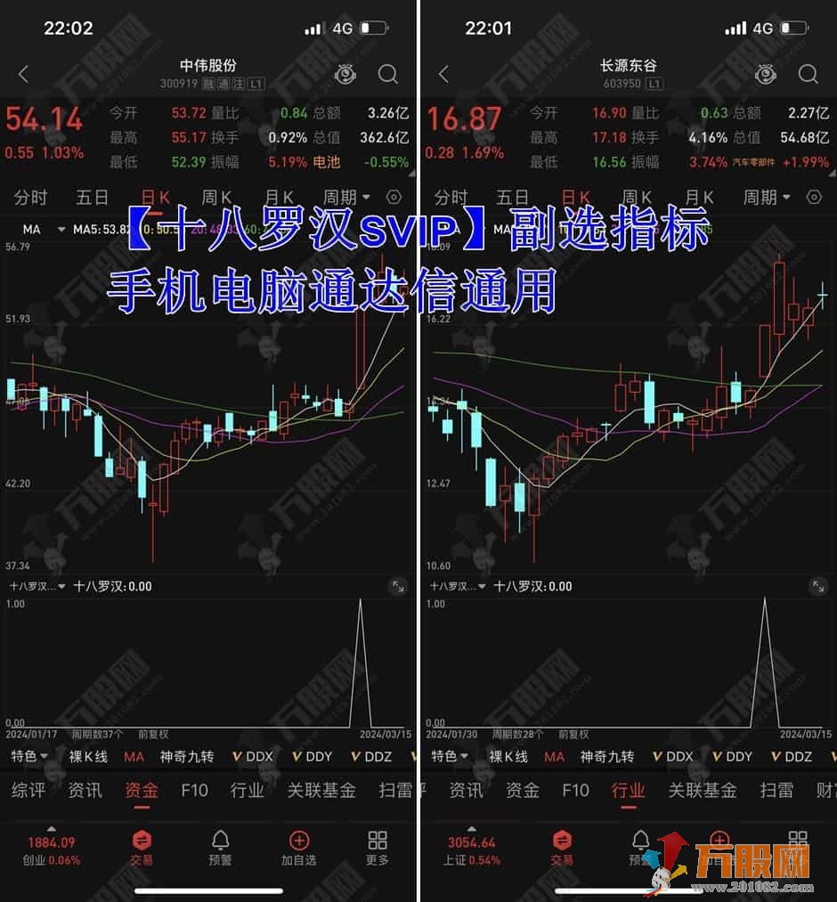 超强N型【十八罗汉SVIP】副选指标 助力决策捕捉N型黑马