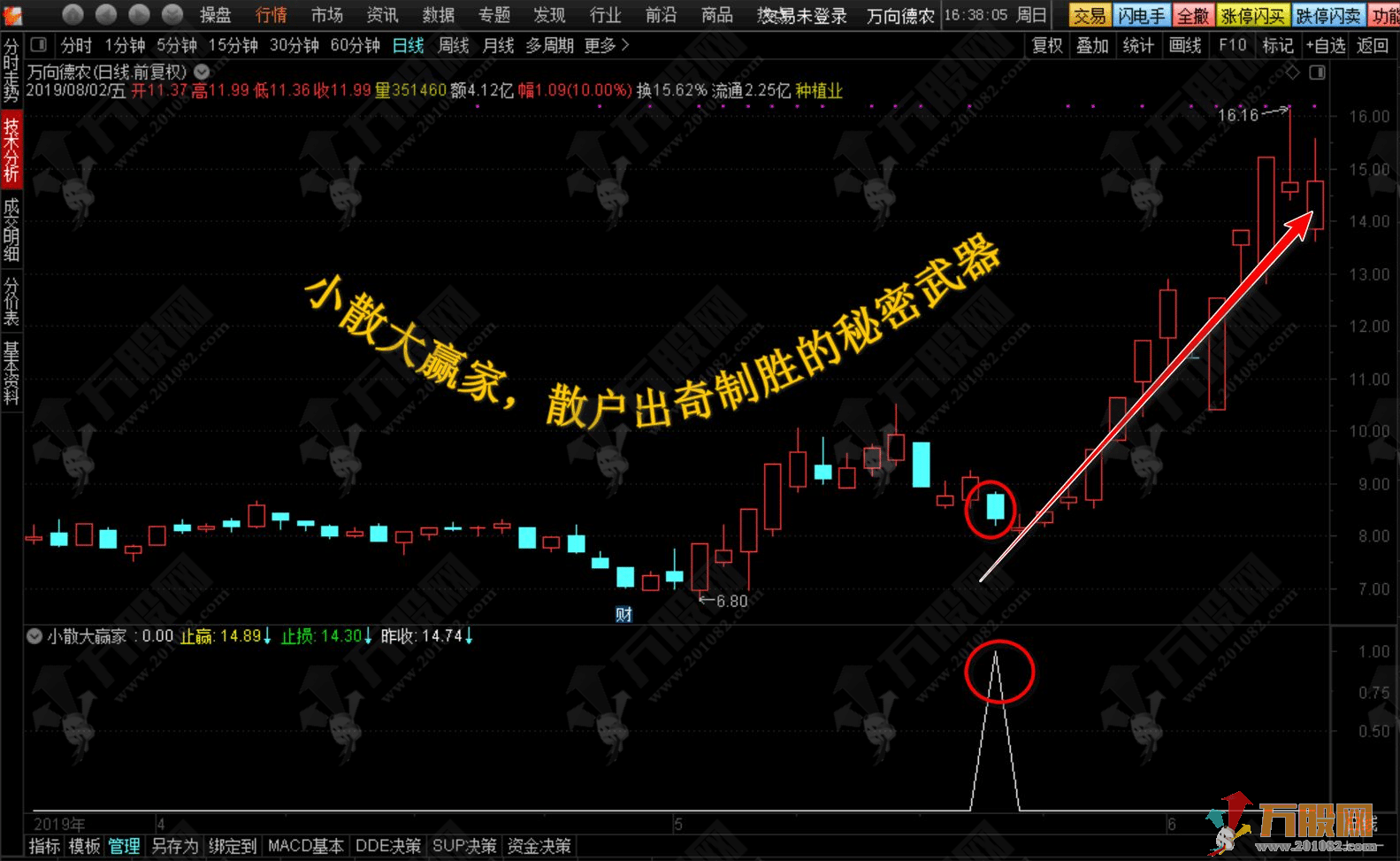 【小散大赢家】散户出奇制胜的秘密武器 尾盘竞价买入 历史测评十战九胜