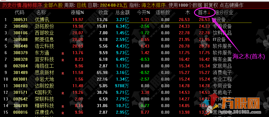 周末福利-【海之木】超级先进的竞价排序指标，海鱼之火之后一新作品