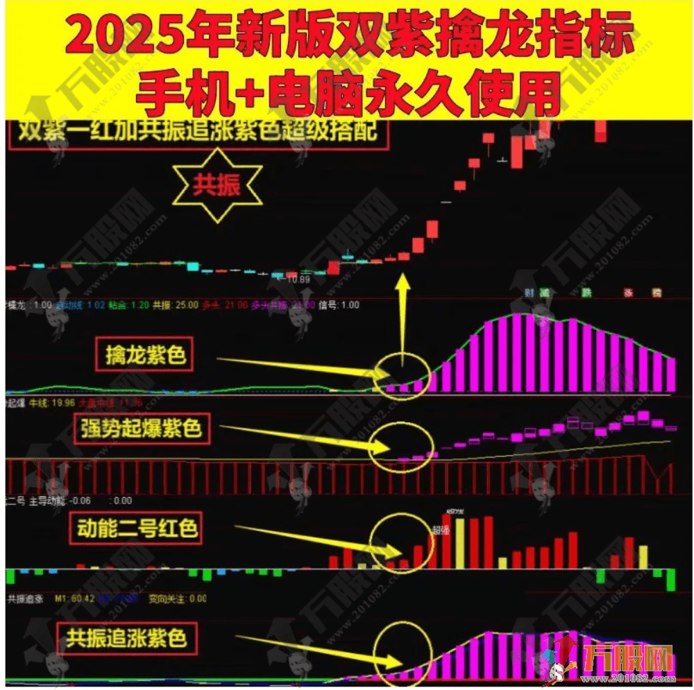 【2025双紫擒龙】新版主副选指标，紫红黄三色追踪主力吸筹（通达信电脑手机通用版） ... ... ... ... ... ...