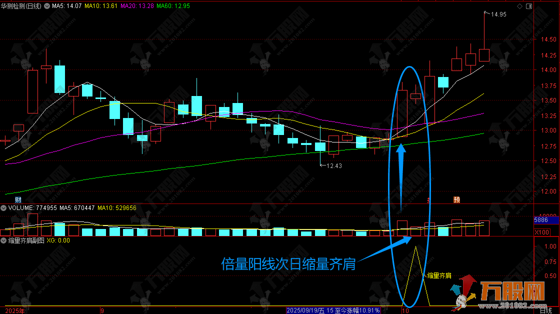 通达信【缩量齐肩】副选指标，倍阳次日缩量揭秘主力新手法，专治创业板，捕捉拉升前兆！ ... ...