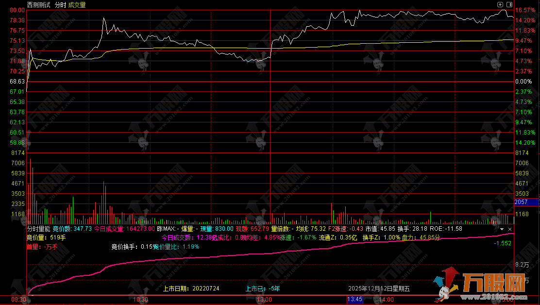 通达信【分时量能】分时副图，竞价量能涨速分析指标（精简版）